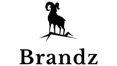 Brandz Clothing Company